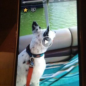 Meet your Posher, Kathy